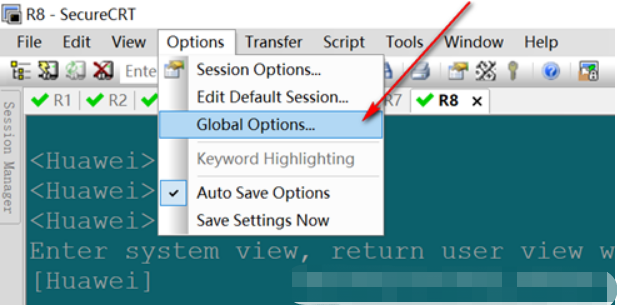 图片[3]PNETLab模拟器-pnet模拟器-仿真模拟器-pnet-pnetlabSecureCRT彩色界面提醒脚本