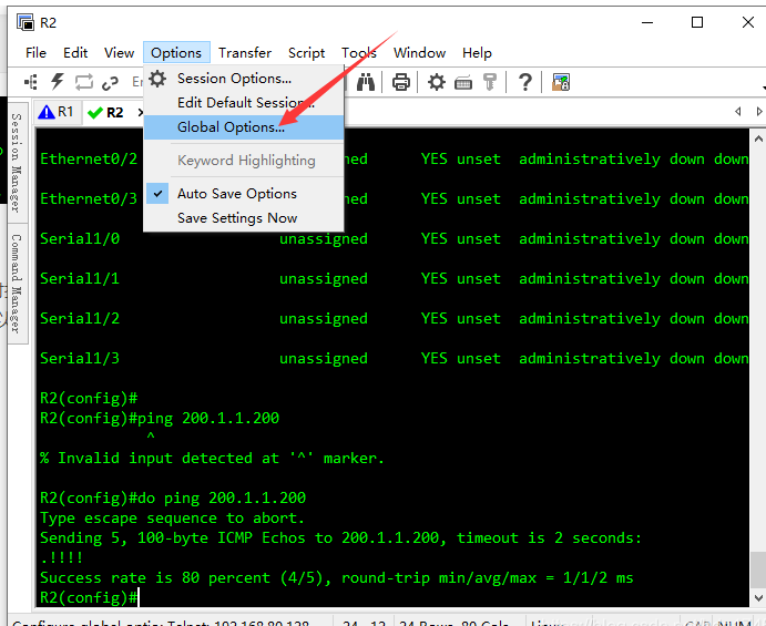 图片[13]PNETLab模拟器-pnet模拟器-仿真模拟器-pnet-pnetlabPNETLAB模拟器的桥接与CRT合并窗口
