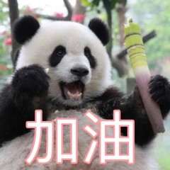 南极的熊猫的头像PNETLab模拟器-pnet模拟器-仿真模拟器-pnet-pnetlabPNETLAB模拟器