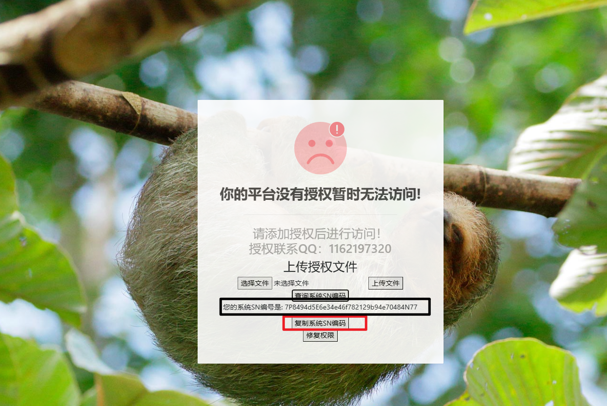 懒人版激活使用